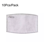 10 Pack of PM2.5 Filters for Face Masks